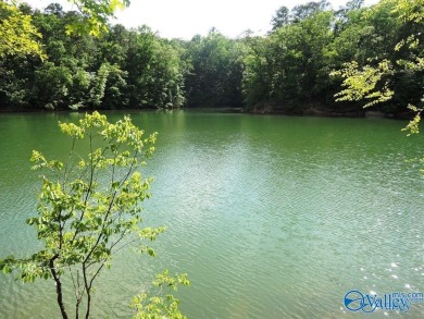 Lake Acreage For Sale in Double Springs, Alabama