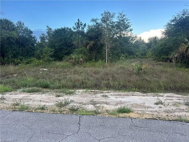 Lehigh Acres Area Lot For Sale in Lehigh Acres Florida