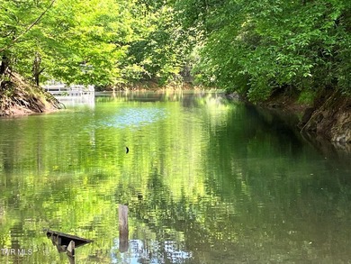 Very few Watauga Lake properties offer the whole cove, as this - photo 11