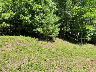 Very few Watauga Lake properties offer the whole cove, as this - photo 12