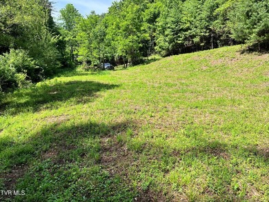 Very few Watauga Lake properties offer the whole cove, as this - photo 13