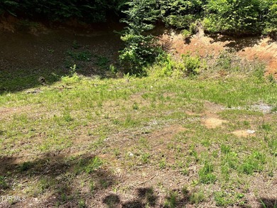 Very few Watauga Lake properties offer the whole cove, as this - photo 14