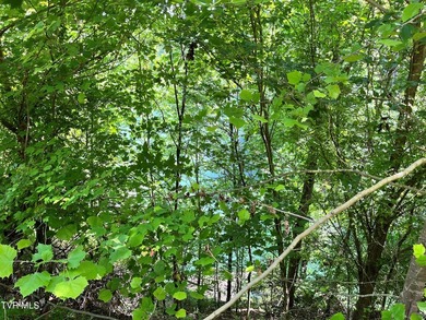 Very few Watauga Lake properties offer the whole cove, as this - photo 15