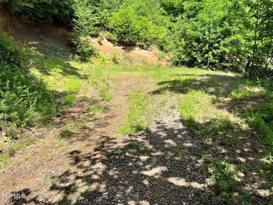 Very few Watauga Lake properties offer the whole cove, as this - photo 16