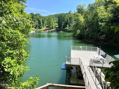Very few Watauga Lake properties offer the whole cove, as this - photo 20