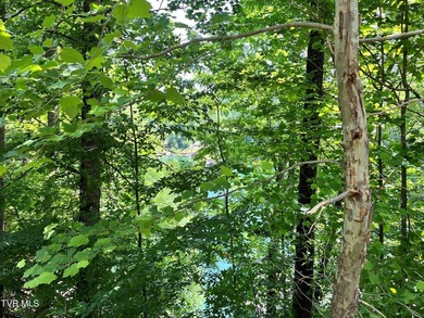 Very few Watauga Lake properties offer the whole cove, as this - photo 22