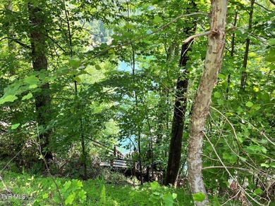 Very few Watauga Lake properties offer the whole cove, as this - photo 23