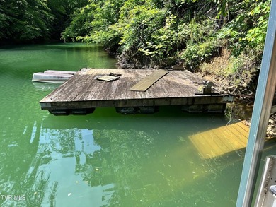 Very few Watauga Lake properties offer the whole cove, as this - photo 24