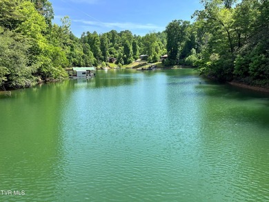 Very few Watauga Lake properties offer the whole cove, as this - photo 25