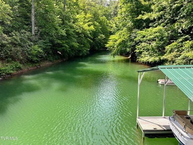 Very few Watauga Lake properties offer the whole cove, as this - photo 26