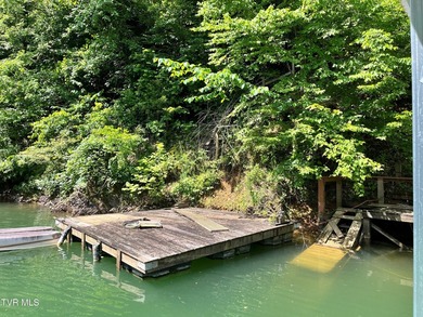 Very few Watauga Lake properties offer the whole cove, as this - photo 28