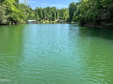 Very few Watauga Lake properties offer the whole cove, as this - photo 29