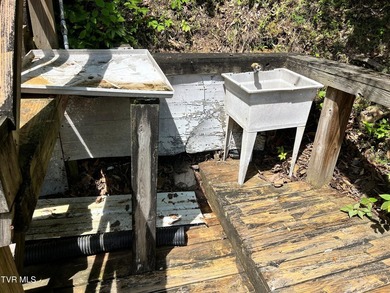 Very few Watauga Lake properties offer the whole cove, as this - photo 31