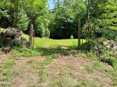 Very few Watauga Lake properties offer the whole cove, as this - photo 33