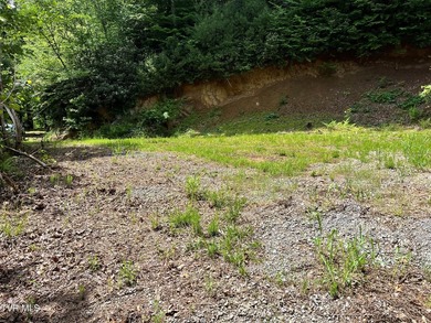 Very few Watauga Lake properties offer the whole cove, as this - photo 34