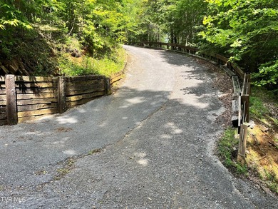 Very few Watauga Lake properties offer the whole cove, as this - photo 35