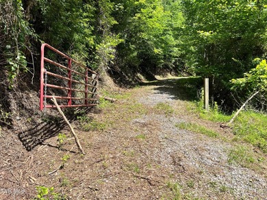 Very few Watauga Lake properties offer the whole cove, as this - photo 37