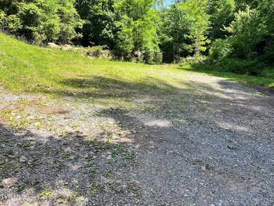 Very few Watauga Lake properties offer the whole cove, as this - photo 38