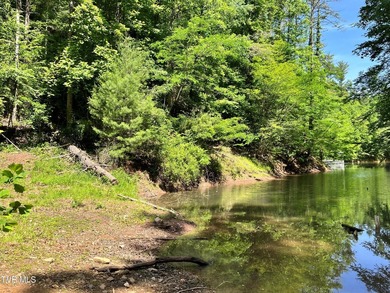 Very few Watauga Lake properties offer the whole cove, as this - photo 39