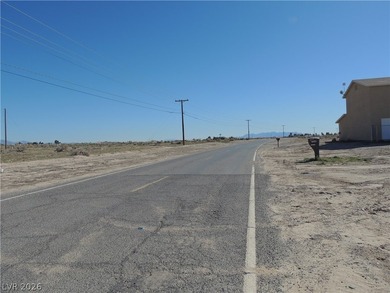Seller Financing - Own Land in Pahrump with $15K Down - photo 6