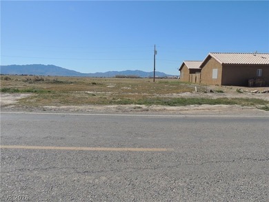 Seller Financing - Own Land in Pahrump with $15K Down - photo 9