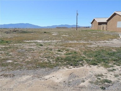 Seller Financing - Own Land in Pahrump with $15K Down - photo 10