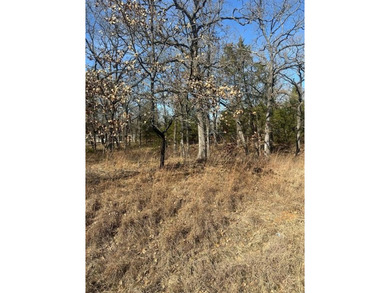 Cedar Creek Lake Lot For Sale in Mabank Texas