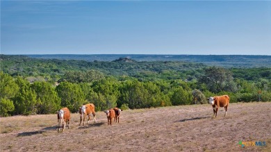  Home For Sale in Brady Texas