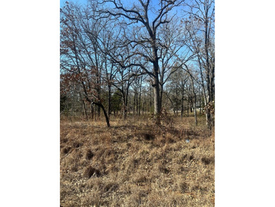 176 Oak Trl - photo 2
