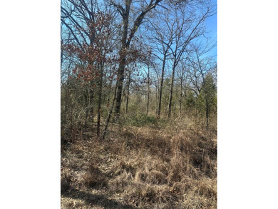176 Oak Trl - photo 3
