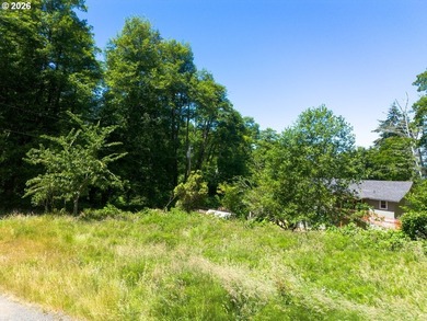 Level, buildable 0.11-acre lot just minutes from historic - photo 11