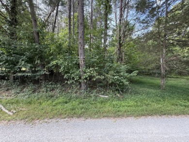 Lake Lot For Sale in Clarkson, Kentucky