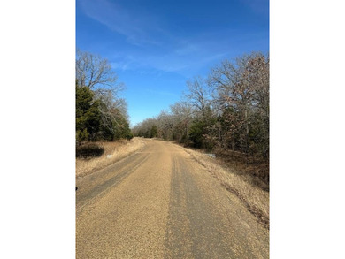 Cedar Creek Lake Lot For Sale in Mabank Texas