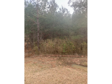 Lake Lot For Sale in Pachuta, Mississippi