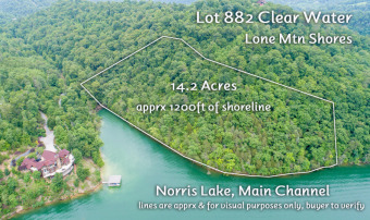 It's your own private, Norris Lake Front Park! Lot #882 boasts - Lake Lot For Sale in New Tazewell, Tennessee