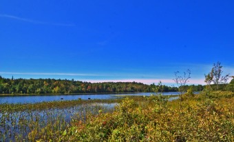 Lake Clear Outlet Acreage Sale Pending in Lake Clear New York