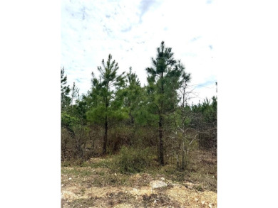 Lake Lot For Sale in Broken Bow, Oklahoma