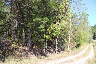 Lake Acreage Off Market in Lake Lure, North Carolina