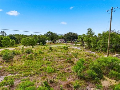 Lake Weohyakapka Lot For Sale in Lake Wales Florida