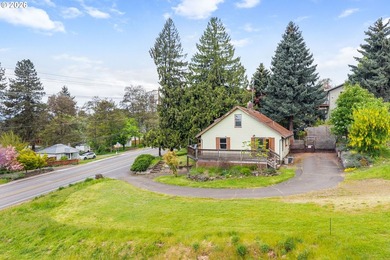 Developers & Investors - Rare White Salmon OpportunityBring your - photo 4