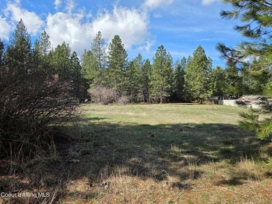 Seven adjoining city lots for a total of 1.13 acres in the - photo 2