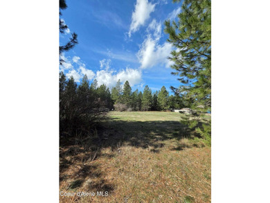 Seven adjoining city lots for a total of 1.13 acres in the - photo 4