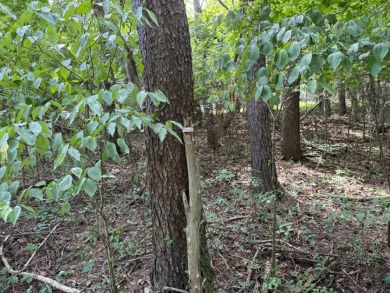 Nolin Lake Lot SOLD - photo 9