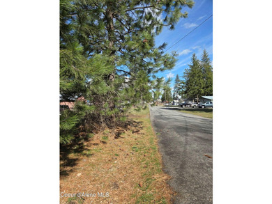 Seven adjoining city lots for a total of 1.13 acres in the - photo 5