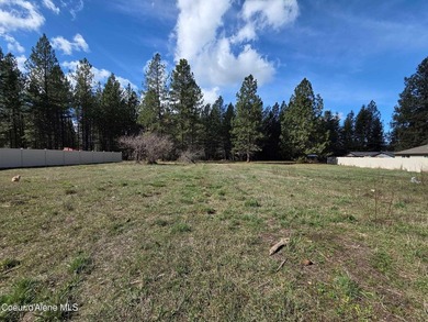 Seven adjoining city lots for a total of 1.13 acres in the - photo 6