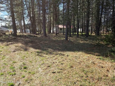 Seven adjoining city lots for a total of 1.13 acres in the - photo 8