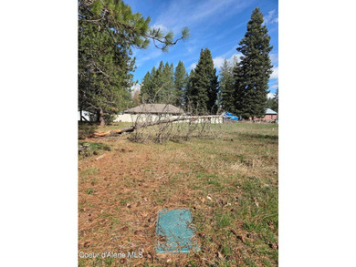 Seven adjoining city lots for a total of 1.13 acres in the - photo 10