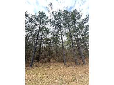 Lake Lot For Sale in Broken Bow, Oklahoma