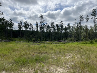 (private lake, pond, coastal) Acreage For Sale in Lucedale Mississippi