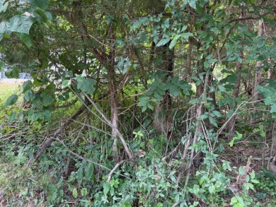 Nolin Lake Lot SOLD - photo 5